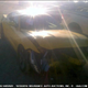 Illustration for article titled Is This The First Wrecked 2015 Ford Mustang?